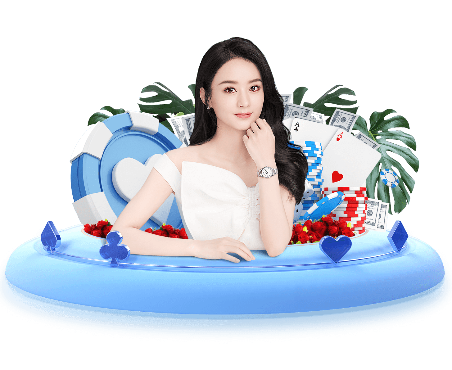 板球爱好者